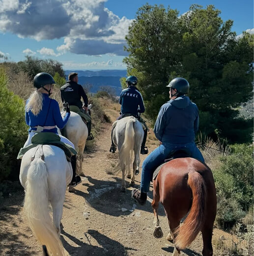 experience horseback riding