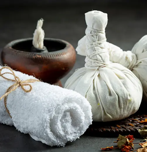retreat ayurvedic deep detox